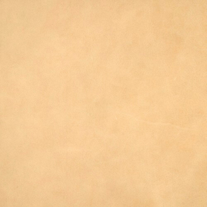 Biskut - Faux Leather